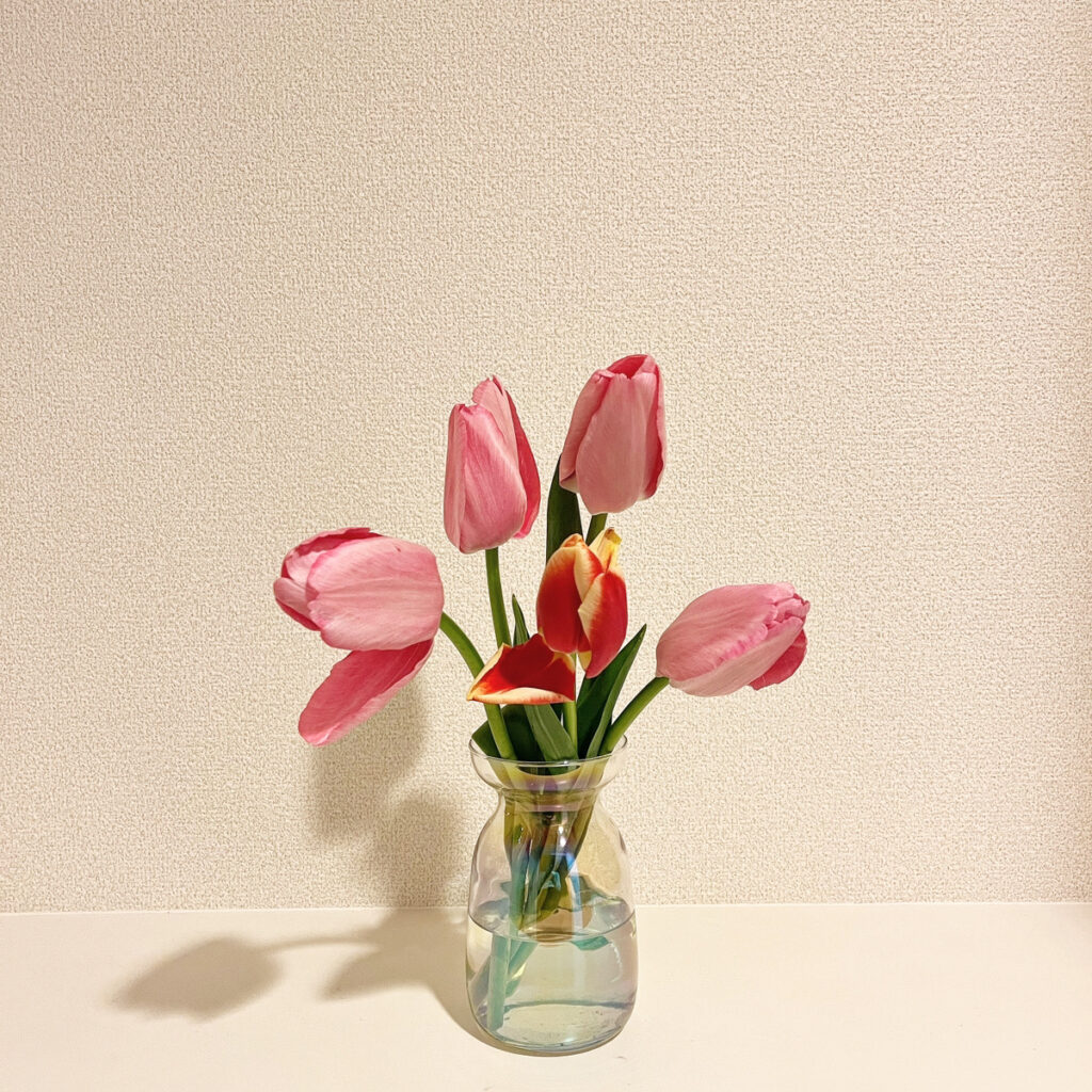 画像に alt 属性が指定されていません。ファイル名: IMG_7033-1024x768.jpg